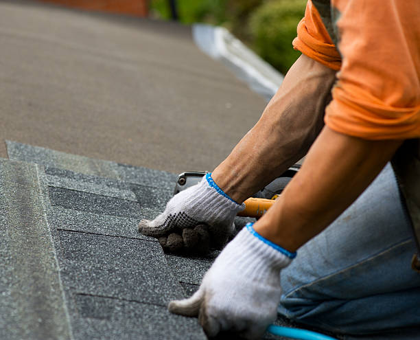 Best Roof Repair Services  in Craigsville, WV