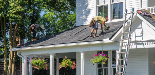 Best Roof Leak Repair  in Craigsville, WV